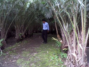 IMG00685-20150114-1038