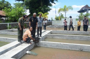 pasar ikan