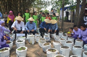 Tanam Pohon
