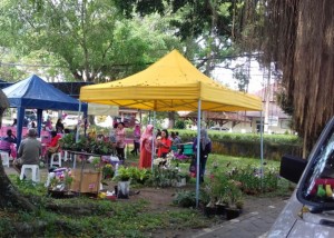 Pasar Tani