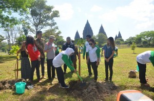 Penanaman Pohon