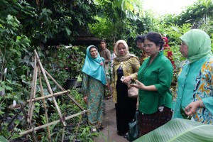 Kunjungan PKK Pusat