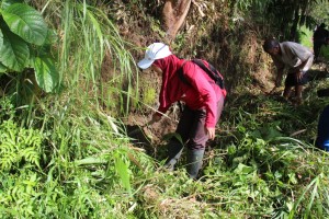 Warga Membersihkan Rumput Liar